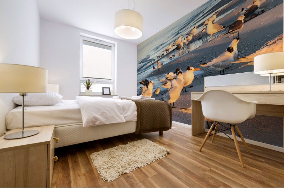 Gulls & Terns Mural print