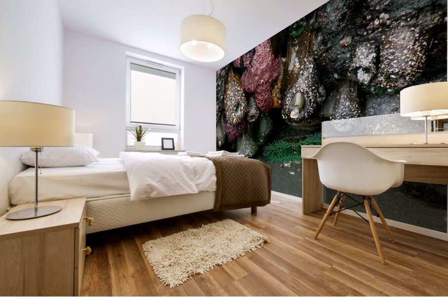 Tidal Pool 5 Mural print