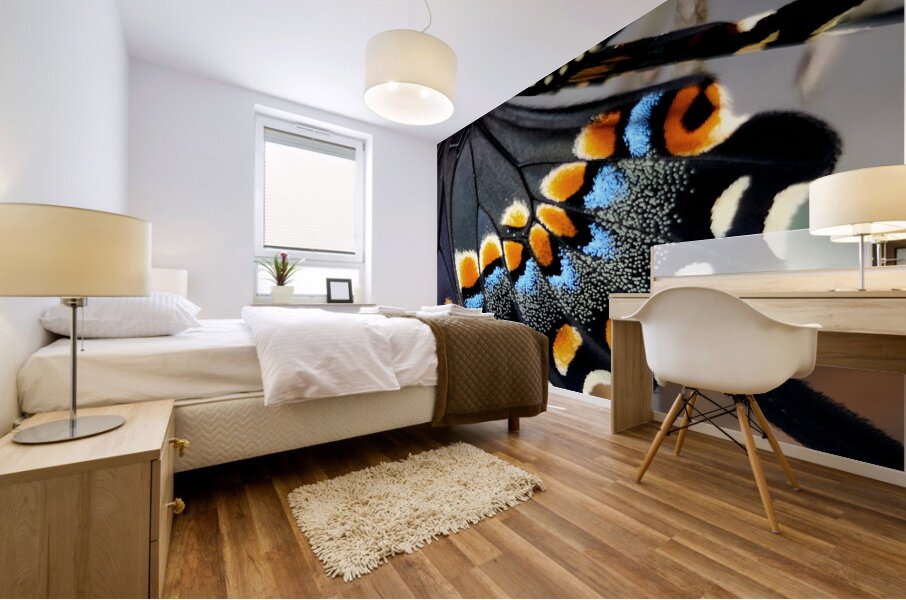 Black Swallowtail Closeup Mural print
