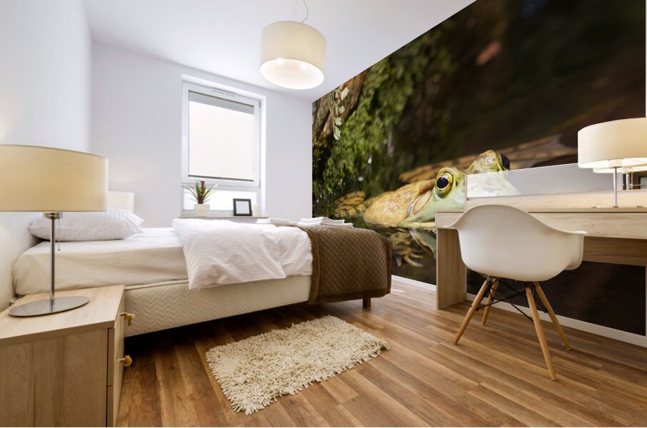 Bull Frog Mural print