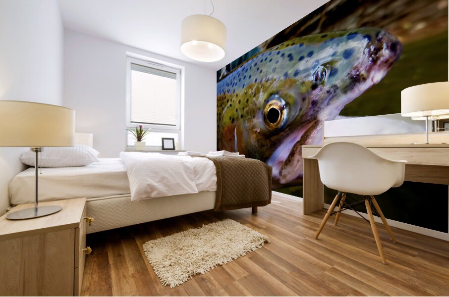 Steelhead Closeup Mural print