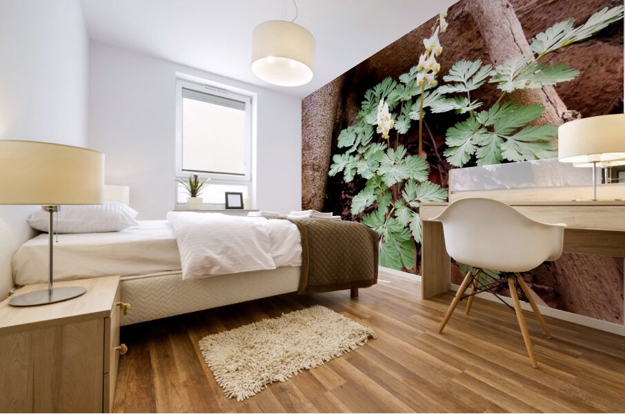 Dutchmans Breeches Mural print