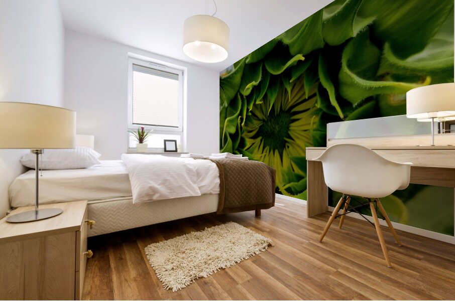 Sunflower Bud Mural print