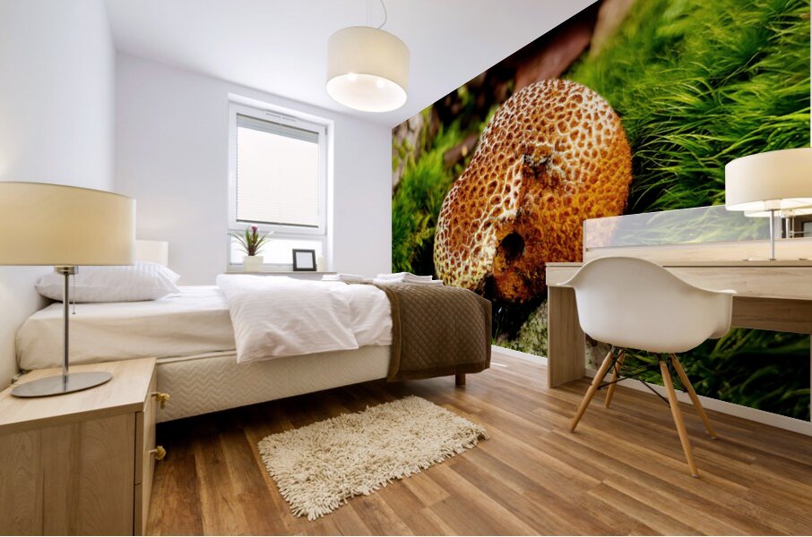 Snoring Fungus Mural print