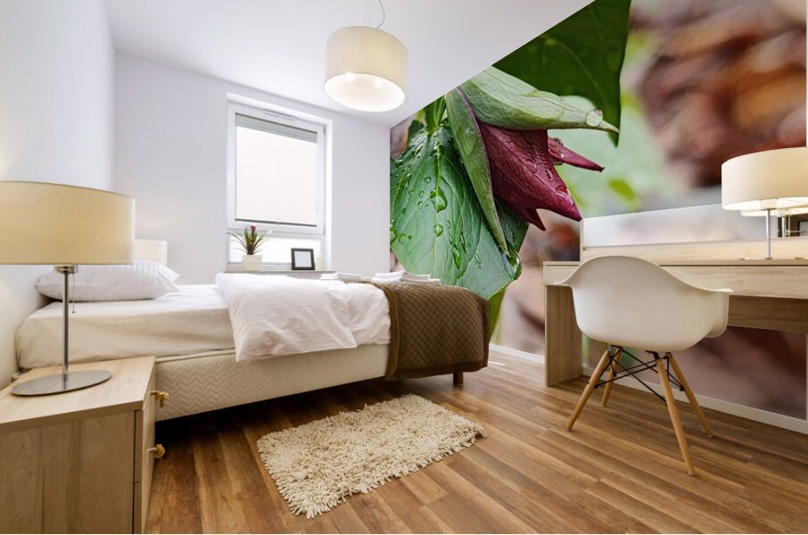 Red Trillium Bud Mural print