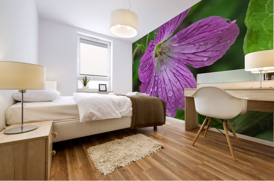 Wild Geranium Mural print