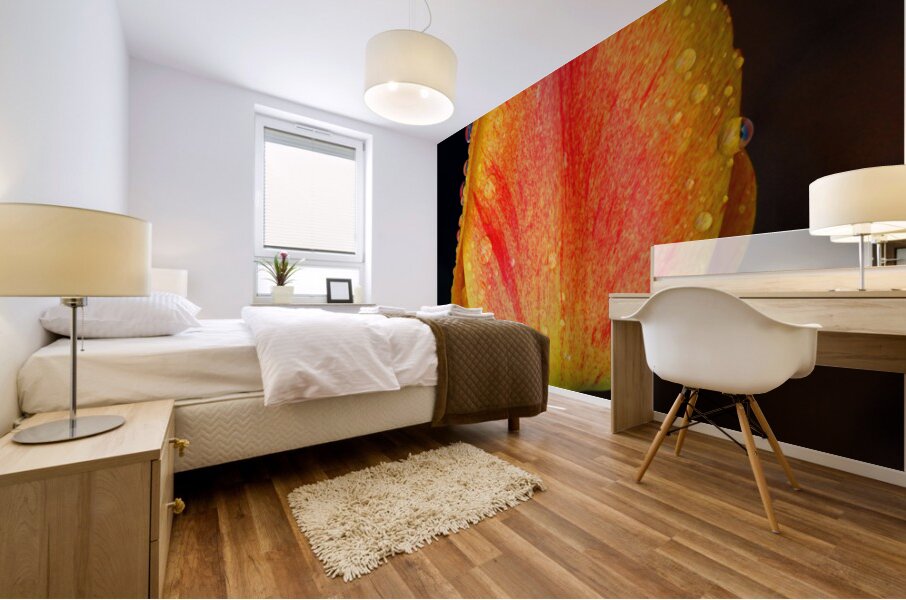 Stunning Tulip Mural print