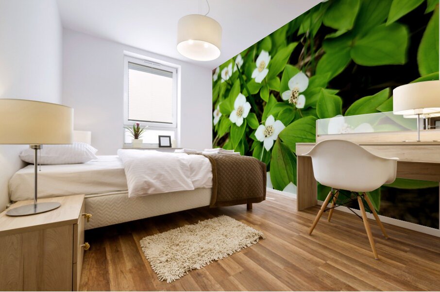 Bunchberry Mural print