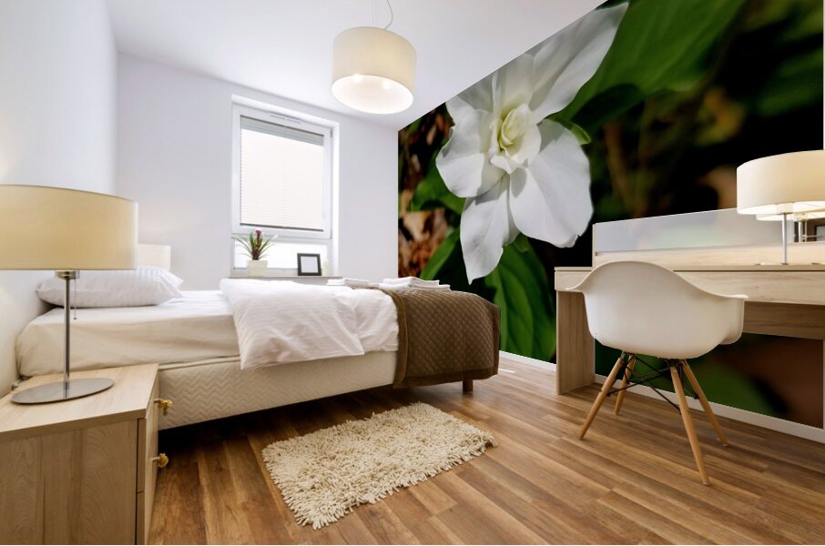 Double White Trillium Mural print