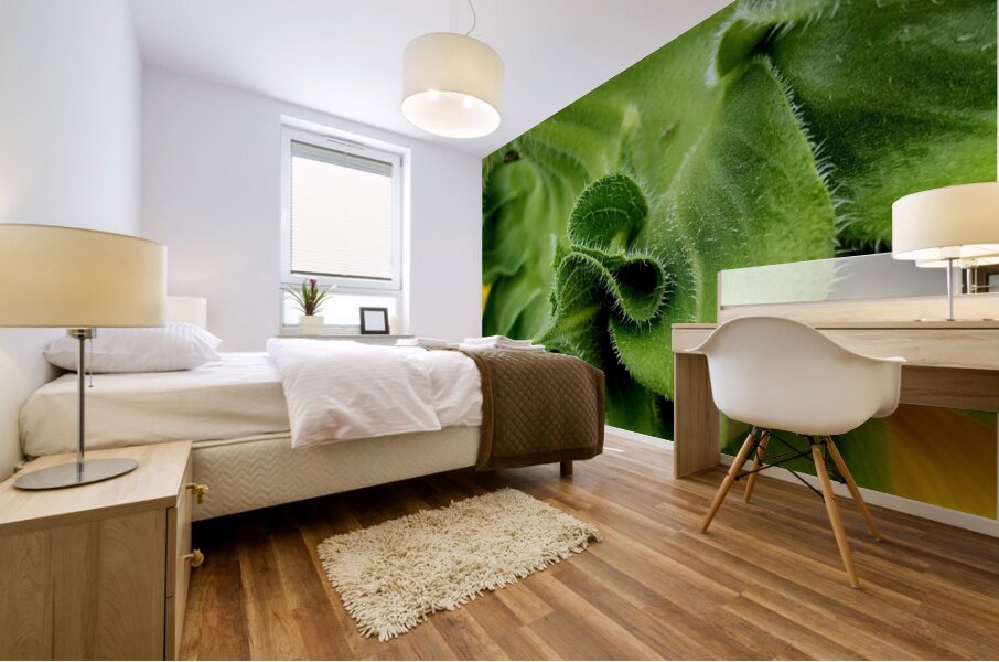 Sunflower Sepals Mural print