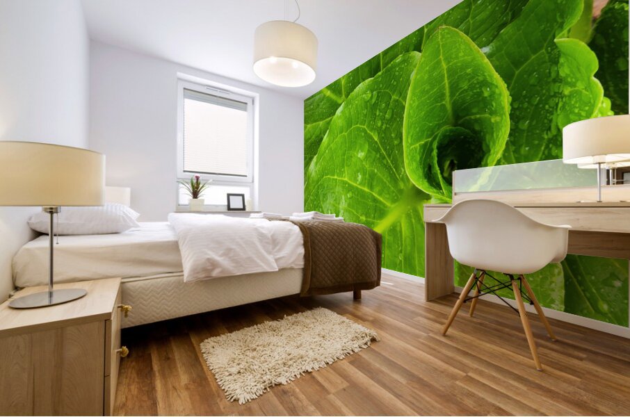 Skunk Cabbage Mural print