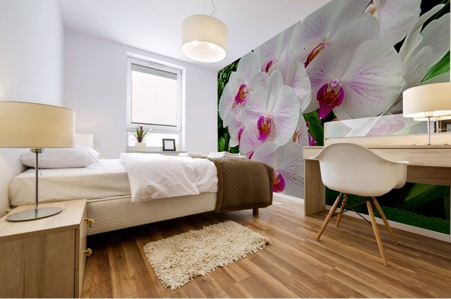 Orchid Cluster Mural print