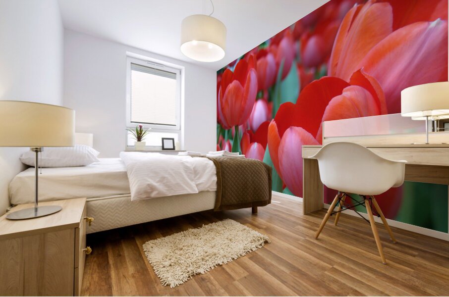 Red Tulips Mural print