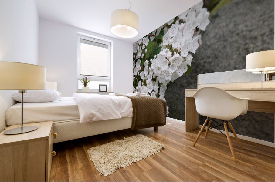 White Mountain Laurel Mural print