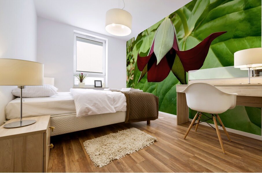 Red Trillium Nodding Mural print