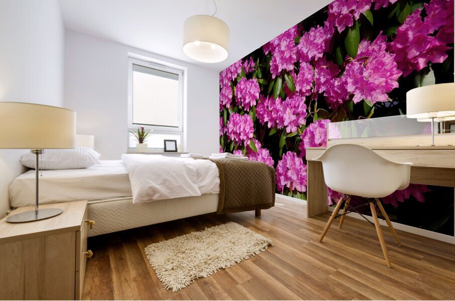 Rhododendron Mural print