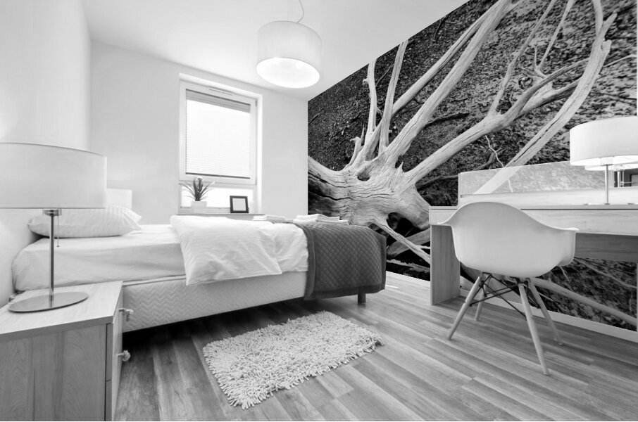 Roots Mural print