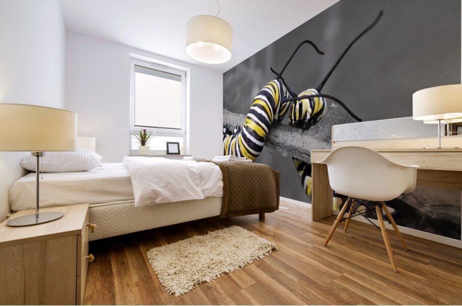 Monarch Caterpillars Mural print