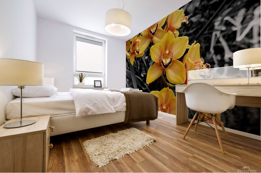Orchids 3 Mural print