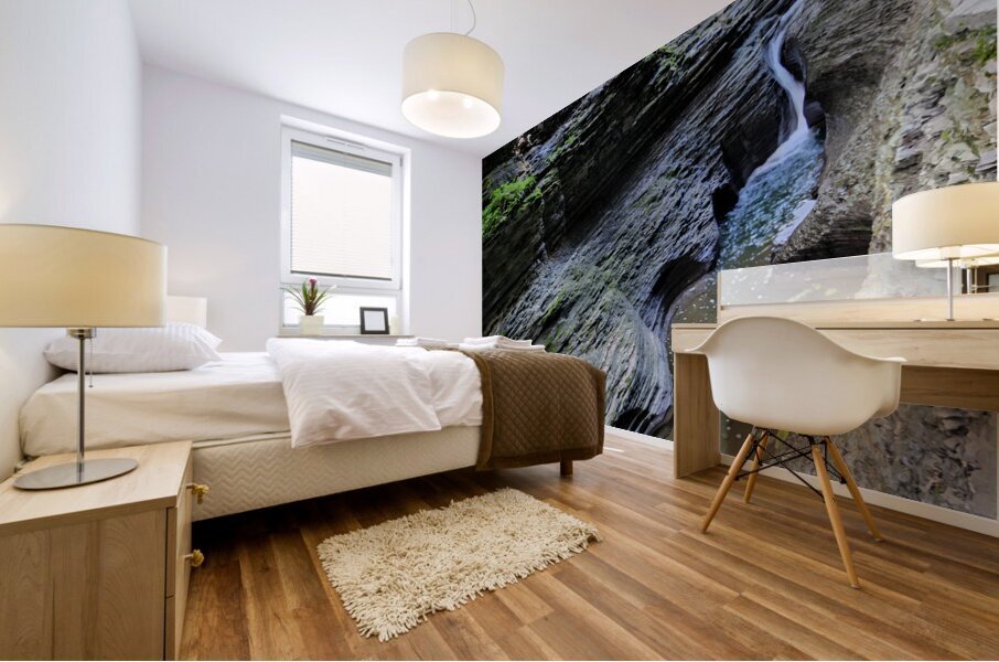 Watkins Glen State Park 2 Mural print