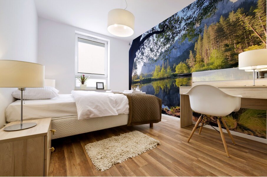 Yosemite 2 Mural print