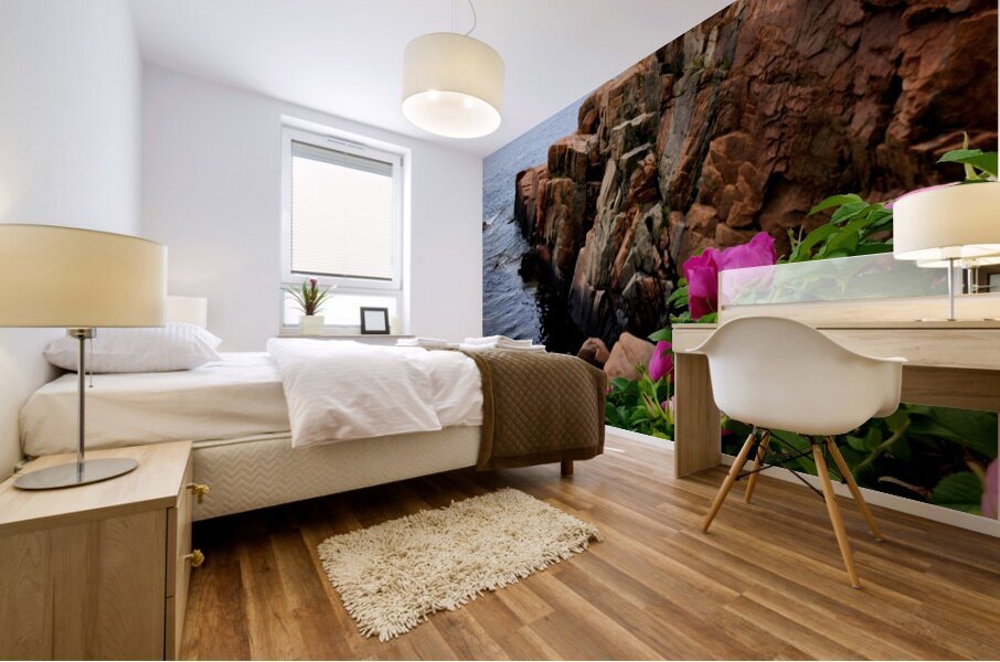 Acadia Coast Mural print