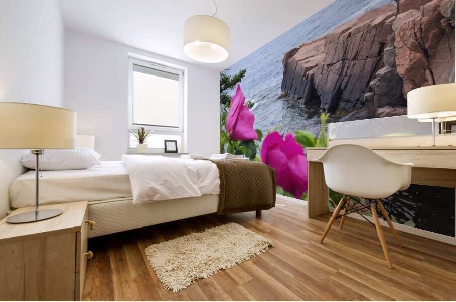 Acadia Point Mural print