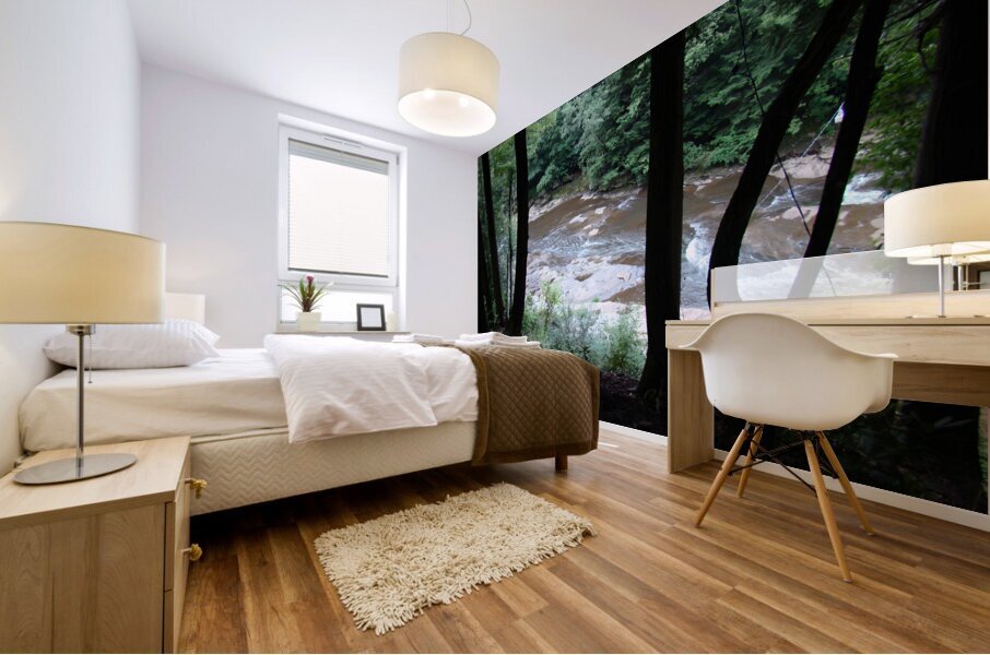 Stonycreek River Headwaters Mural print