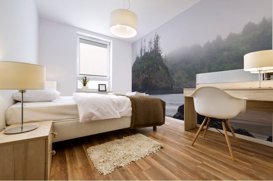 Pacific Coast Mist Mural print