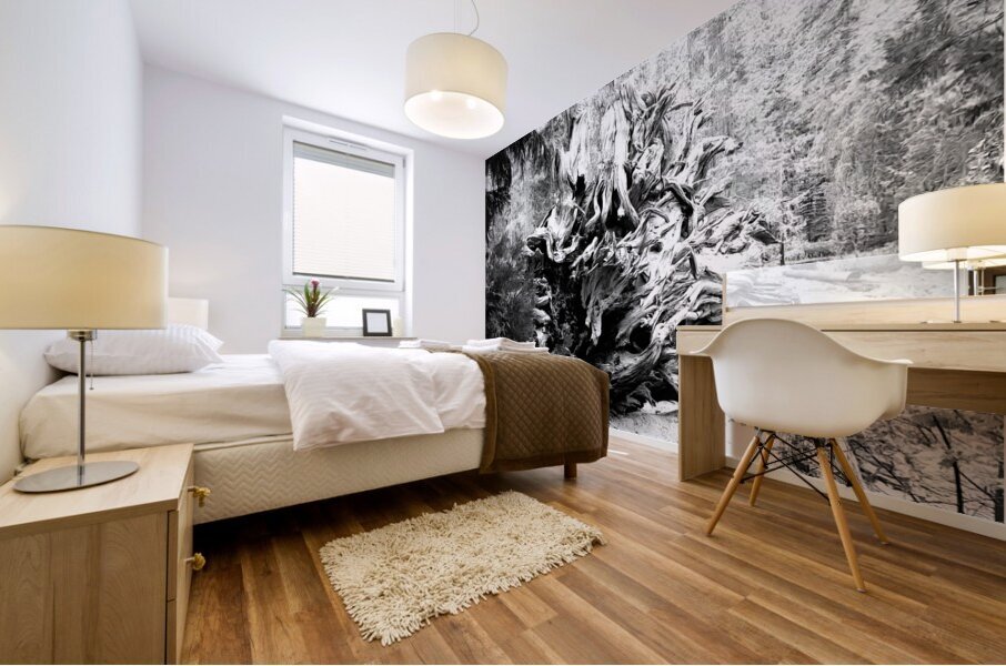 Sequoia Root Wad Mural print