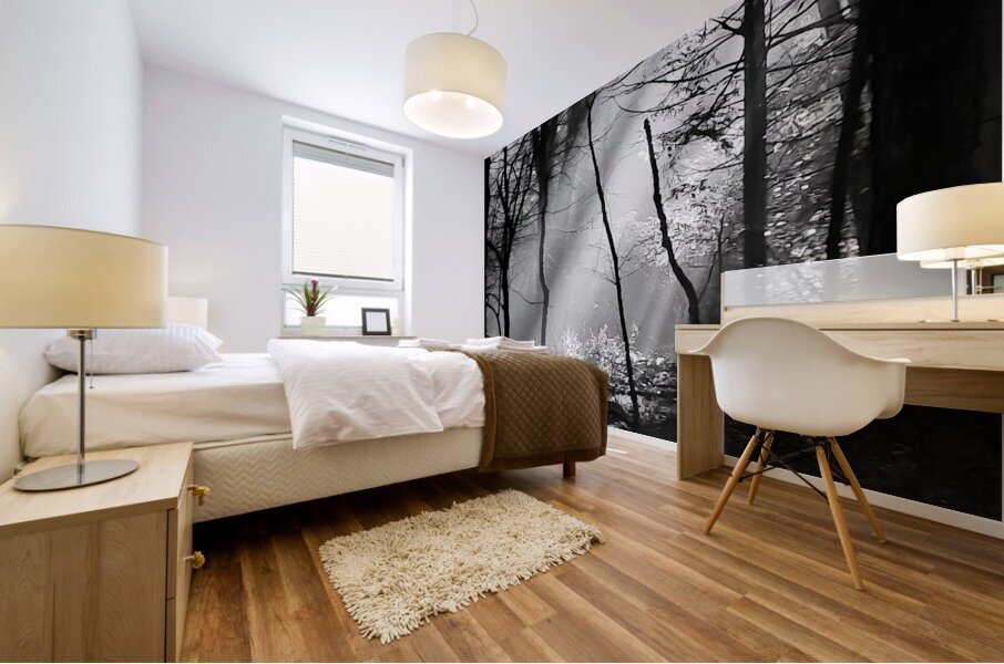 Morning Sunlight Mural print