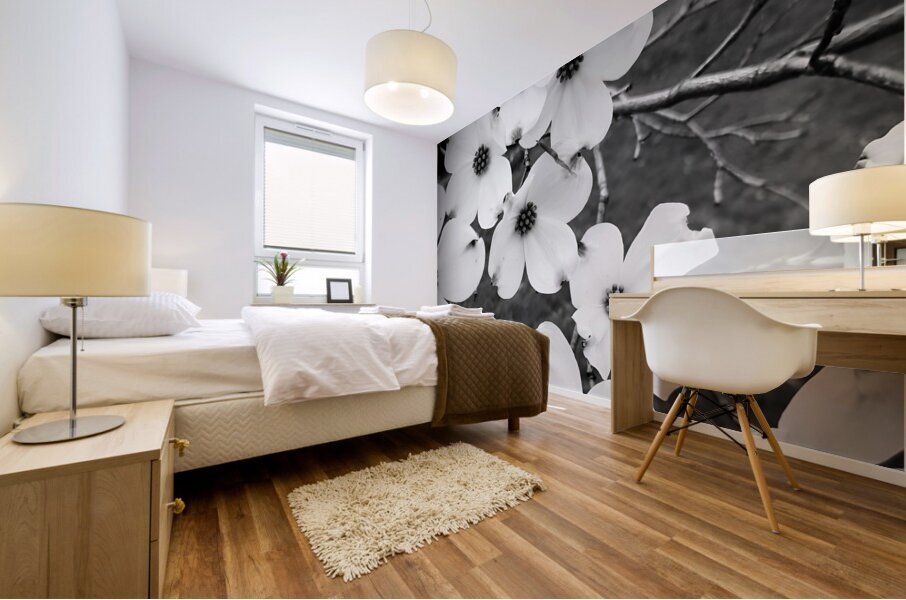 Flowering Dogwood Mural print