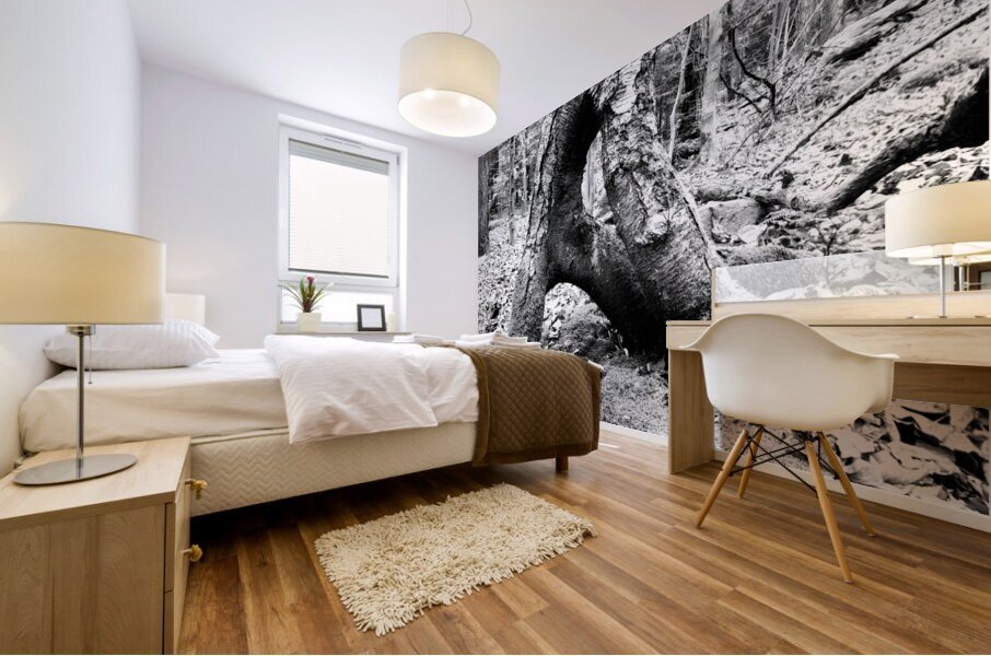 Natural A Mural print