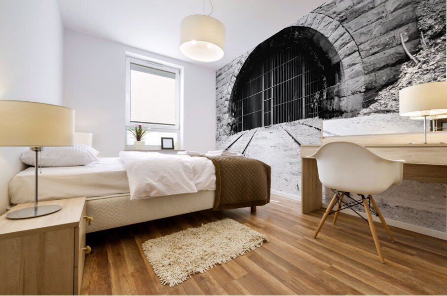 Railroad Tunnel Mural print