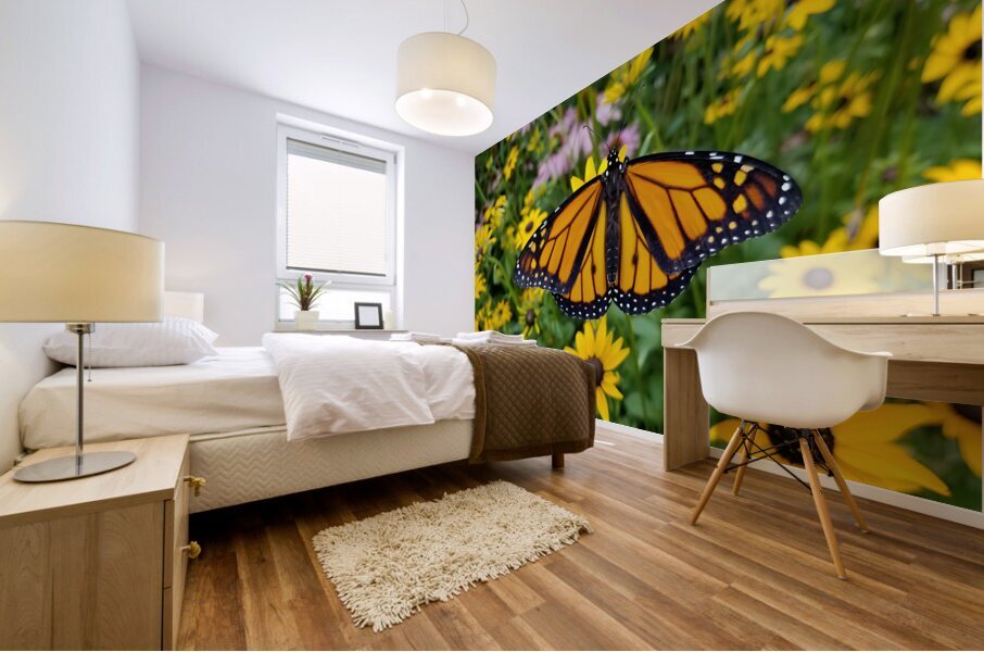 Monarch & Black Eyed Susan Mural print