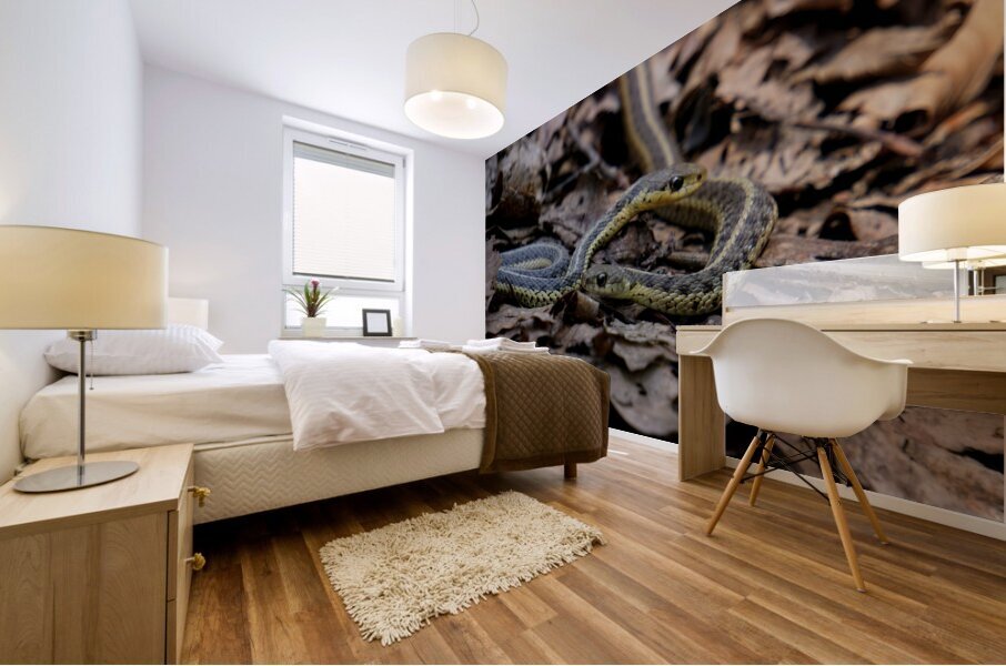 Garter Snakes Mural print