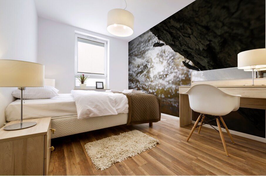 Stonefly Shucks Mural print