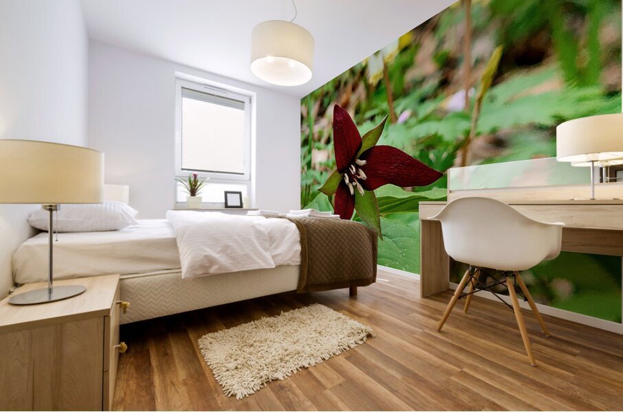 Red Trillium And Dutchmans Breeches Mural print