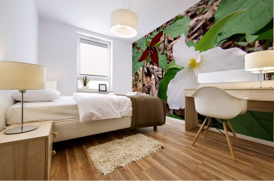 Trillium Mural print