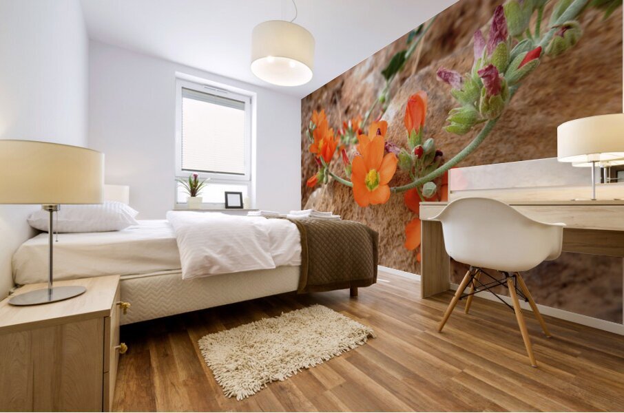 Orange Flowers Mural print