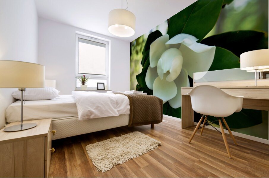 Magnolia Flower Mural print