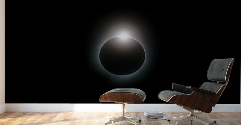 Great American Total Solar Eclipse April 8 2024 4 Wall Murals