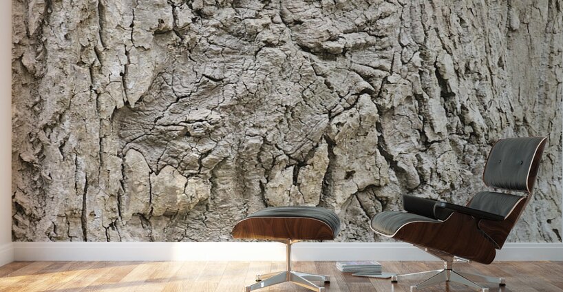 Faces Of The Smokies 3 Wall Murals