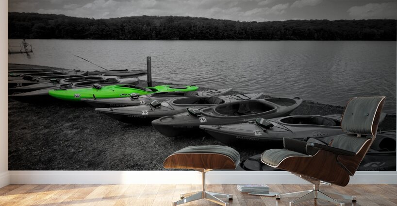 Green Kayak Wall Murals