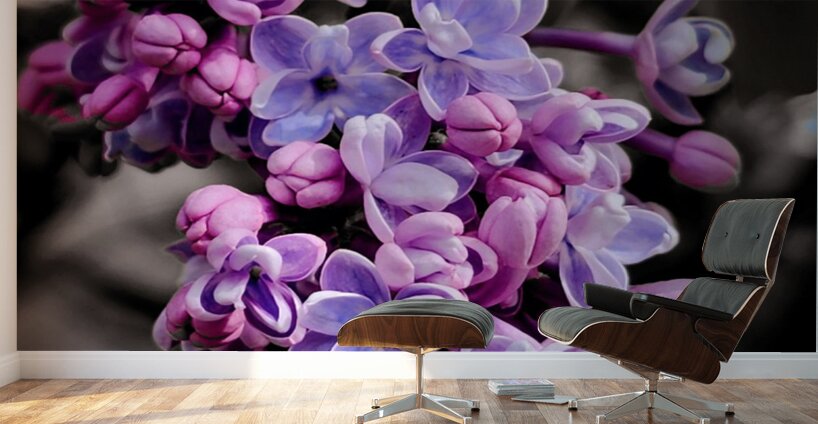 Lilac Wall Murals