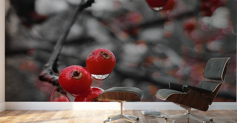 Siberian Crabapple Wall Murals