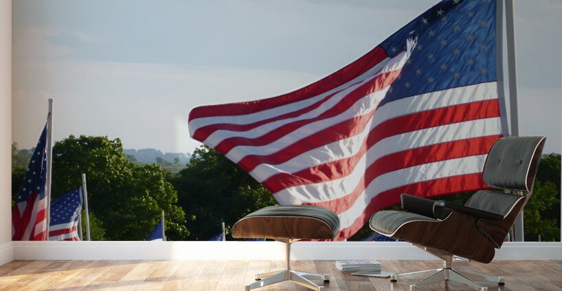 Flags Wall Murals