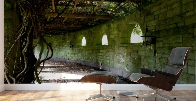 Mt Assisi Garden 1 Wall Murals