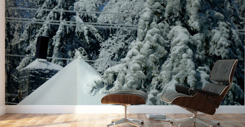 Laurel Mountain Winter Wall Murals