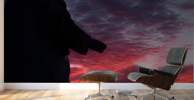 Statue n Sunset Wall Murals